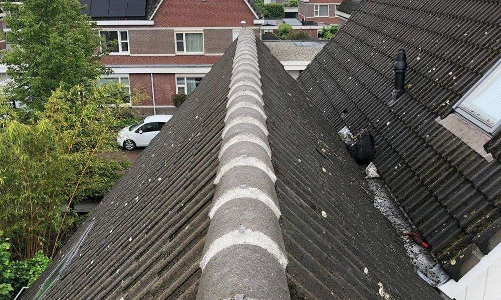 Renovatie aan nokvorsten